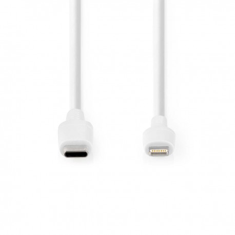 Lightning Câble - 2