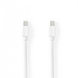 Mini câble Display Port - 1