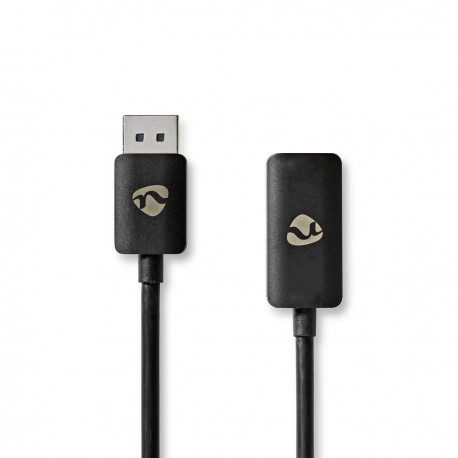 adaptateur DisplayPort - 1