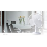 Ventilateur de table - 7 Ventilateur de table - 7