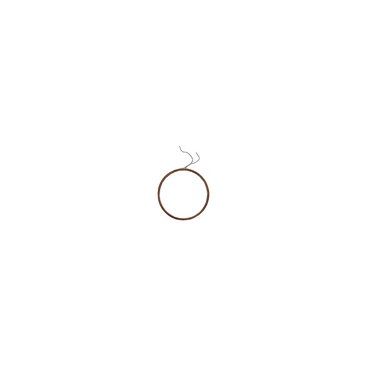 Antenne RFID 125 KHz "ANT-RFID2"  - 1