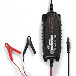 Chargeur de batterie en plomb acide - 1