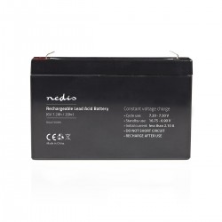 Pile rechargeable plomb-acide - 1