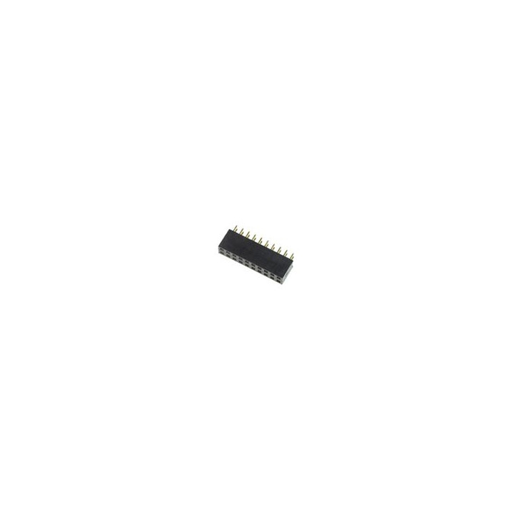 Connecteur femelle 2x10 (double) pour CI  - 1