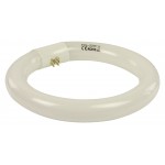 Loupe Lampe de rechange - 1 Loupe Lampe de rechange - 1