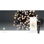 LED Décorative SmartLife - 11 LED Décorative SmartLife - 11