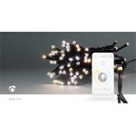 LED Décorative SmartLife - 12 LED Décorative SmartLife - 12