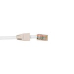 CAT6 RJ 45+T/100 Connecteur data CAT6 RJ45 - 2 CAT6 RJ 45+T/100 Connecteur data CAT6 RJ45 - 2