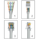 CAT6 RJ 45+T/100 Connecteur data CAT6 RJ45 - 3 CAT6 RJ 45+T/100 Connecteur data CAT6 RJ45 - 3