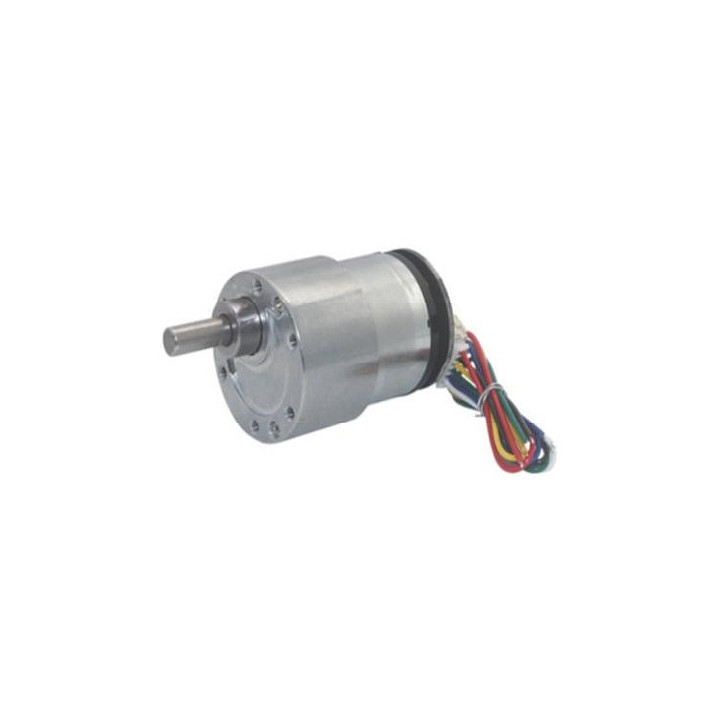 Motoréducteur E52037GM-120076