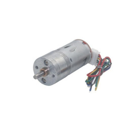 Motoréducteur E37025GM-060280