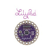 Cartes Lilypad