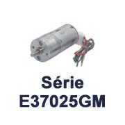 Motoréducteurs E37025GM (25 mm)