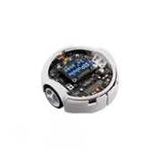 Robots pour PI PICO et RP2040