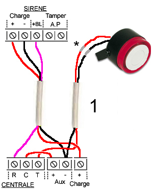 Comment câbler une sirène sur une alarme filaire ?