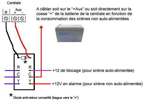 🔧COMMENT BRANCHER ALARME 12V 🔵 