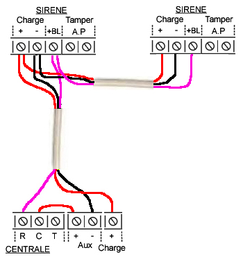 Comment câbler une sirène sur une alarme filaire ?