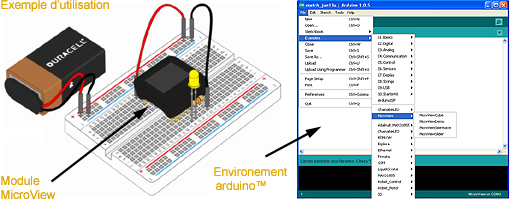 Exemple d'application du MicroView