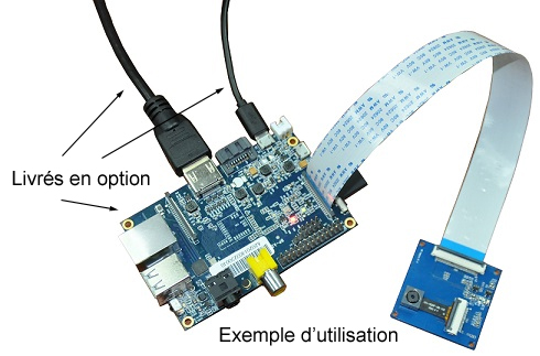 Module caméra pour Banana Pi