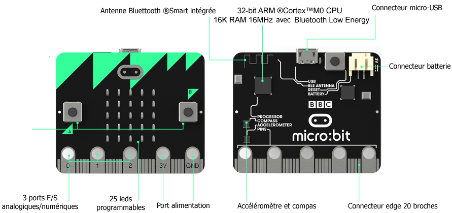 Vue de la face avant et arrière de la carte BBC micro:bit