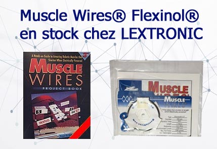 Muscles électriques