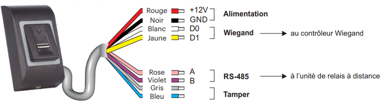 Détail des branchement du lecteur biométrique